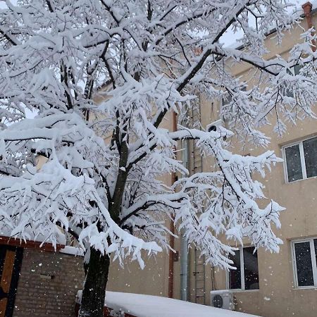 Apartment Chavchavadze 5 Sighnaghi Eksteriør bilde